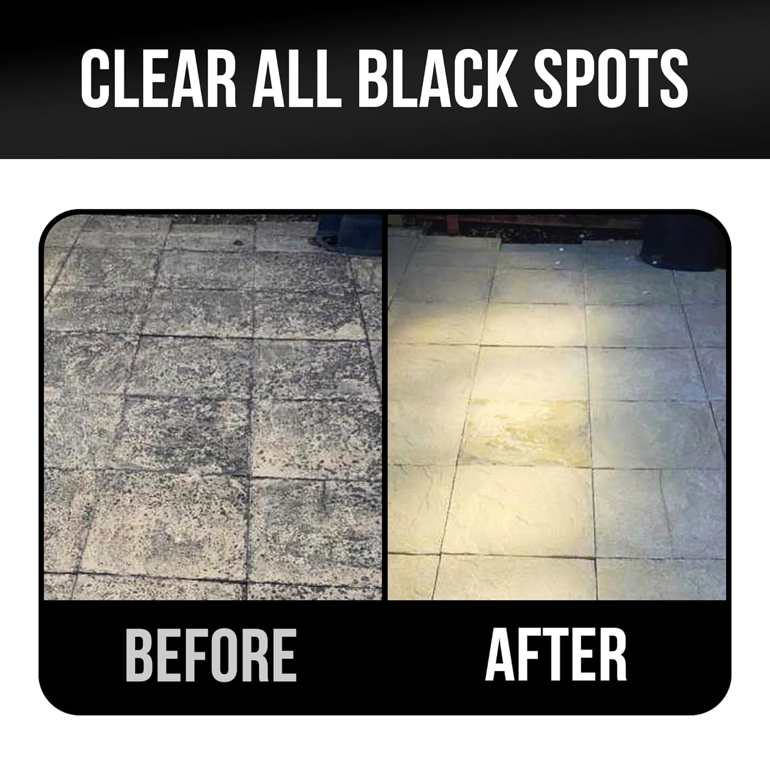 Ultimate Garden Black Spot Remover