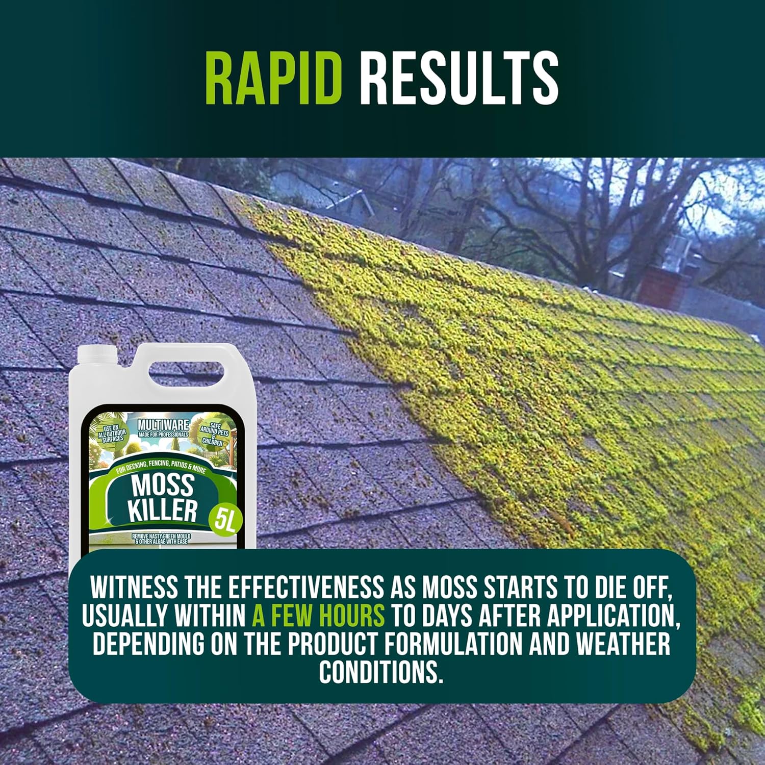 Ultimate Moss Killer For Paths And Drives