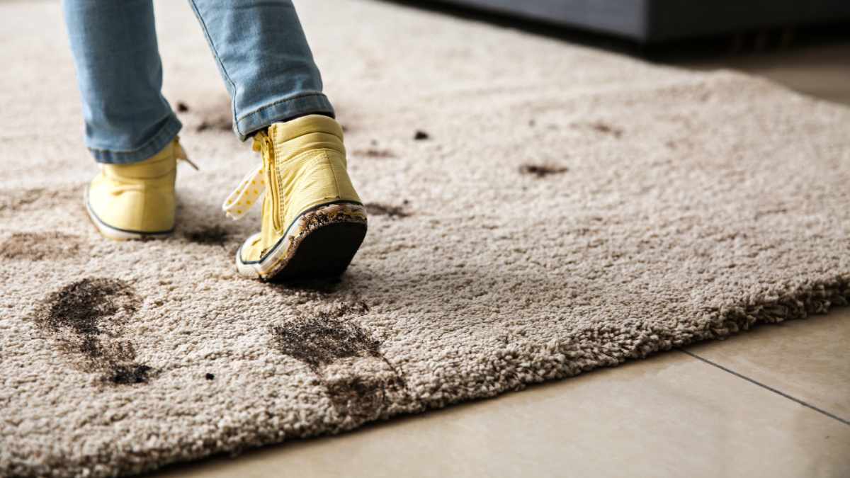 Dealing with Muddy Footprints: How Multiware Carpet Shampoo Handles the UK’s Rainy Days