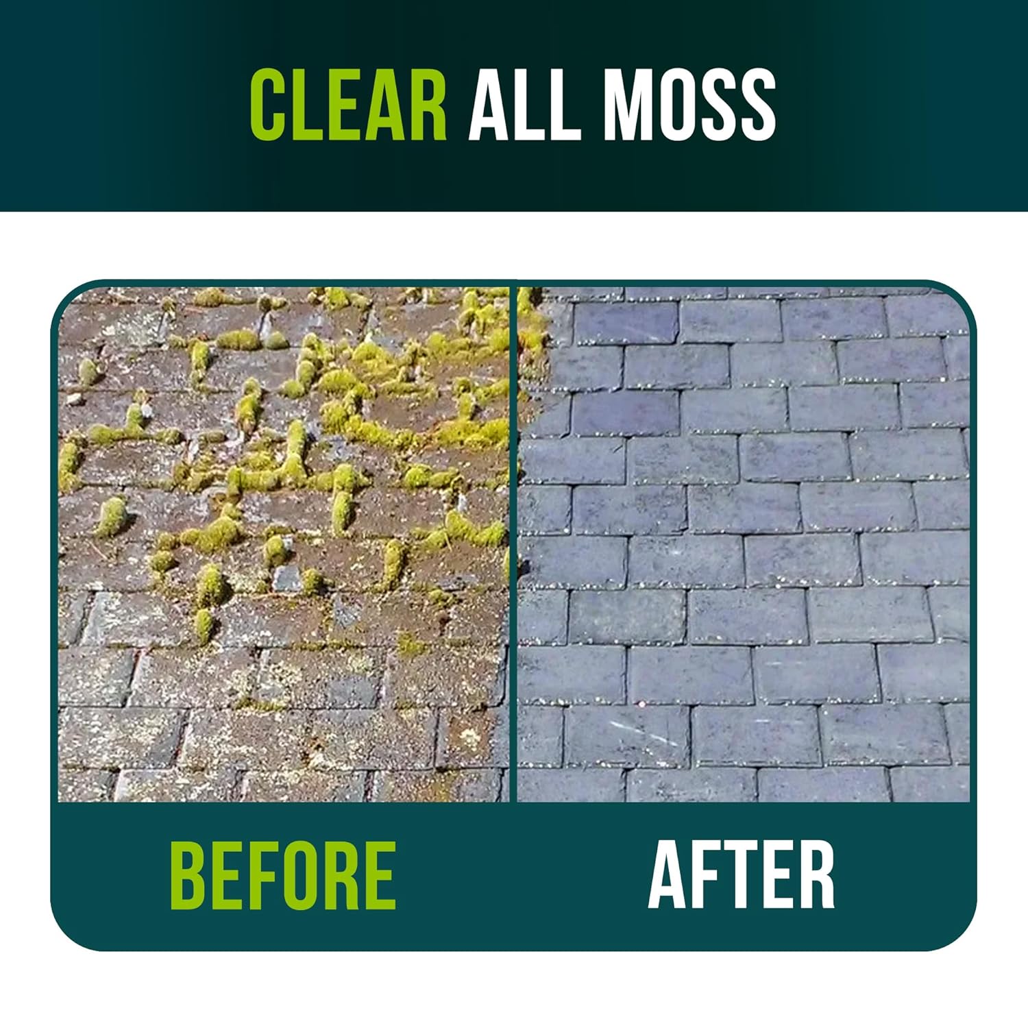 Ultimate Moss Killer For Paths And Drives